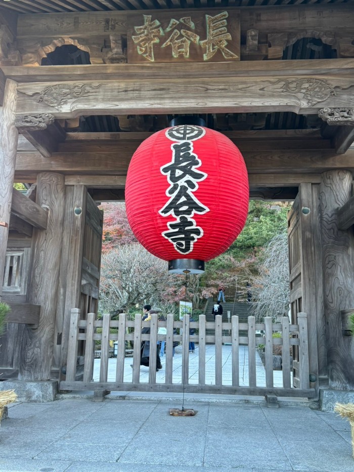 LINE_ALBUM_12月29日(日)_250107_11